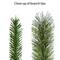 9ft. Pre-Lit Snowy Norway Spruce Artificial Adorned Christmas Tree, Dual-Color LED Lights